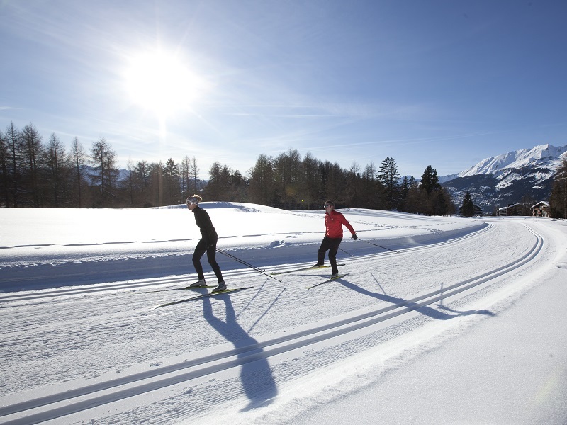 Ski de fond