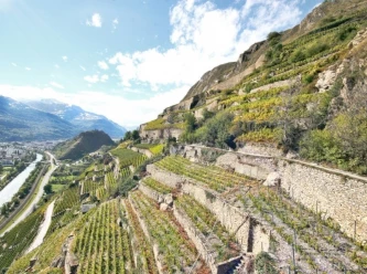 Passeggiata lungo un Bisse e degustazione di vini