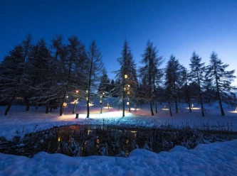 Immerse yourself in the magic of the stars on the Lantern Path