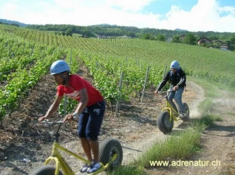 Monster Sierra Scooter