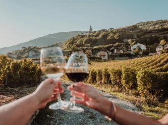 5 viticoltori di Crans-Montana brillano nella guida Gault&Millau 2026