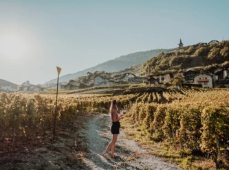 Il gusto del territorio