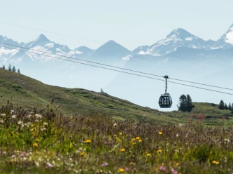 Carte journali�re Remont�es m�caniques