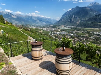 Una regione vinicola