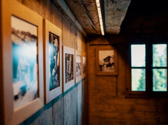 The many different facets of cultural life