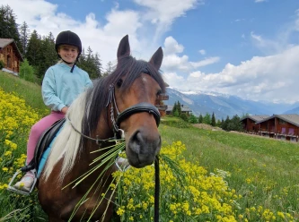 Horse ride