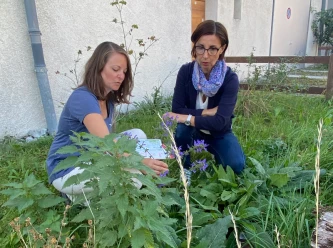 Planifier et am�nager des surfaces proches de la nature (diff�rents cours)