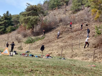 Interventions d'entretien du paysage