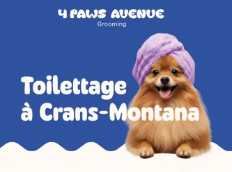 4 Paws Avenue: Toilettage