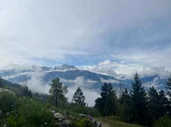 Buvette le Petit Paradis de Cordona