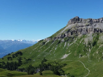 Trail de l'Aminona 