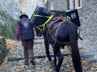 Yak'�'Oser: Giving animals a future and eco-friendly activities