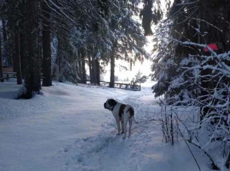 Spaziergang
