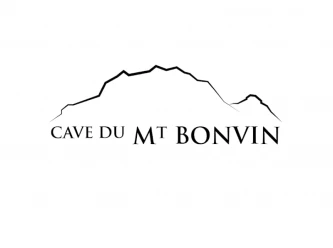 Cave du Mont Bonvin