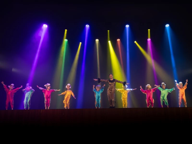 Spectacle R&ecirc;ves 2024 - Safari enfants