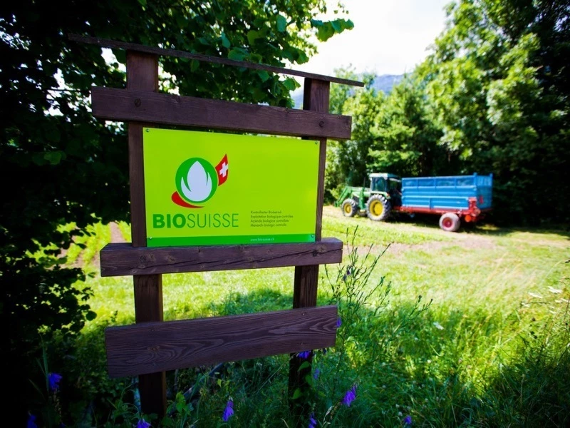panneau bio