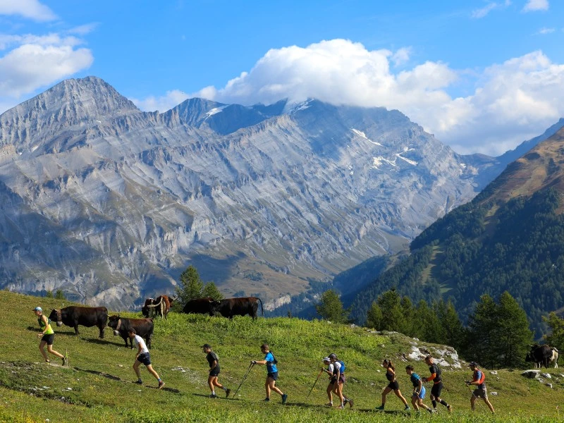 Wildstrubel 2025 &copy;UTMB&reg; Franck Oddoux