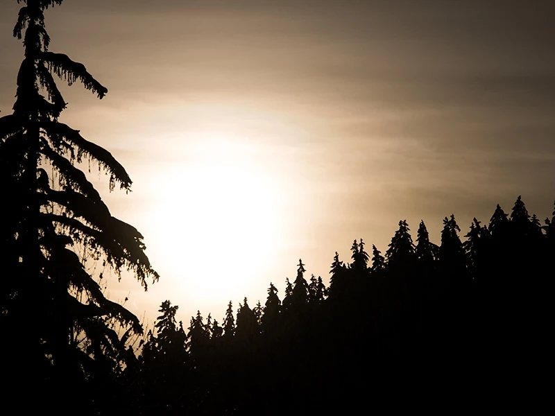 nocturne du loup crans-Montana