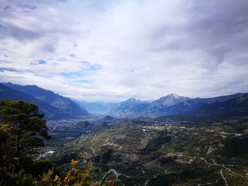 Plaine du Rh&ocirc;ne
