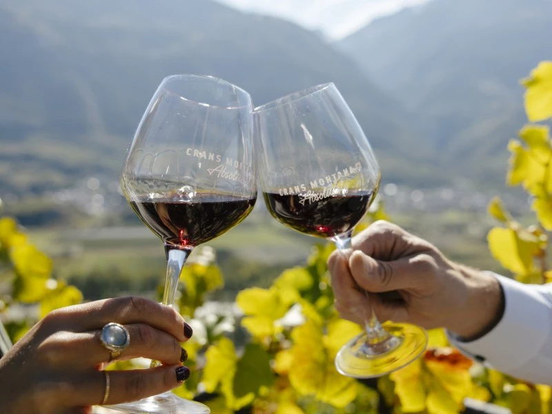 Vin &copy;Patrick G&uuml;ller