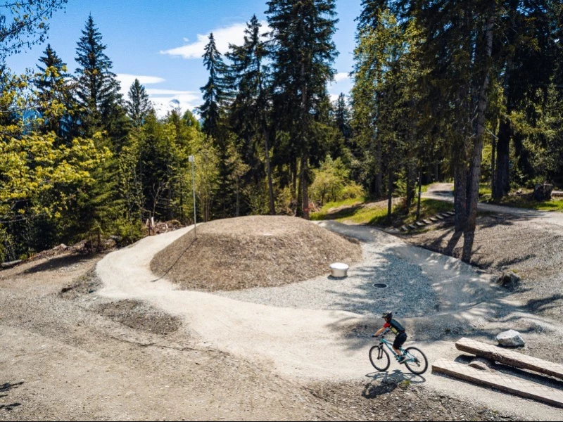 Family Forest Loop Pumptrack