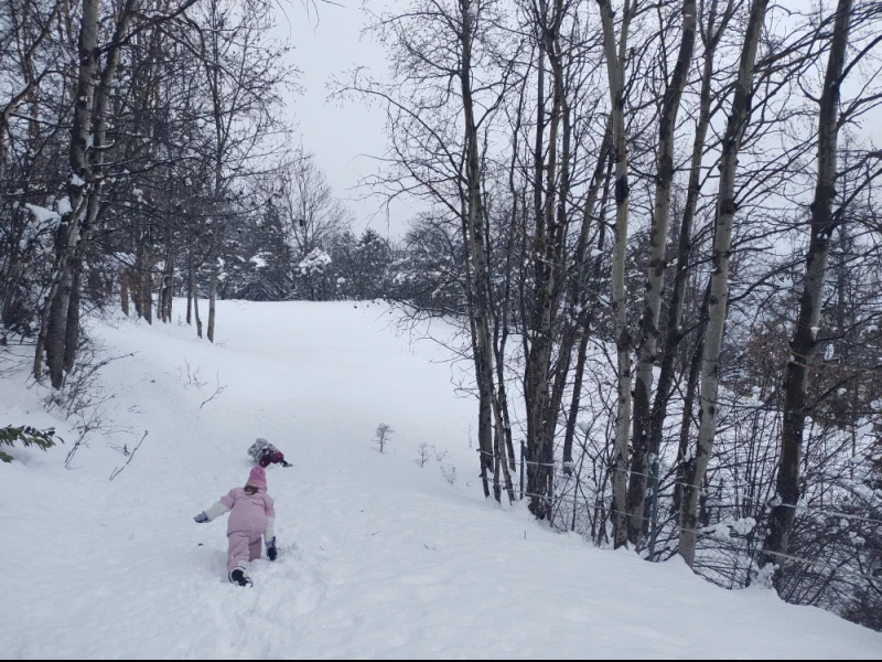 Explorer dans la neige 