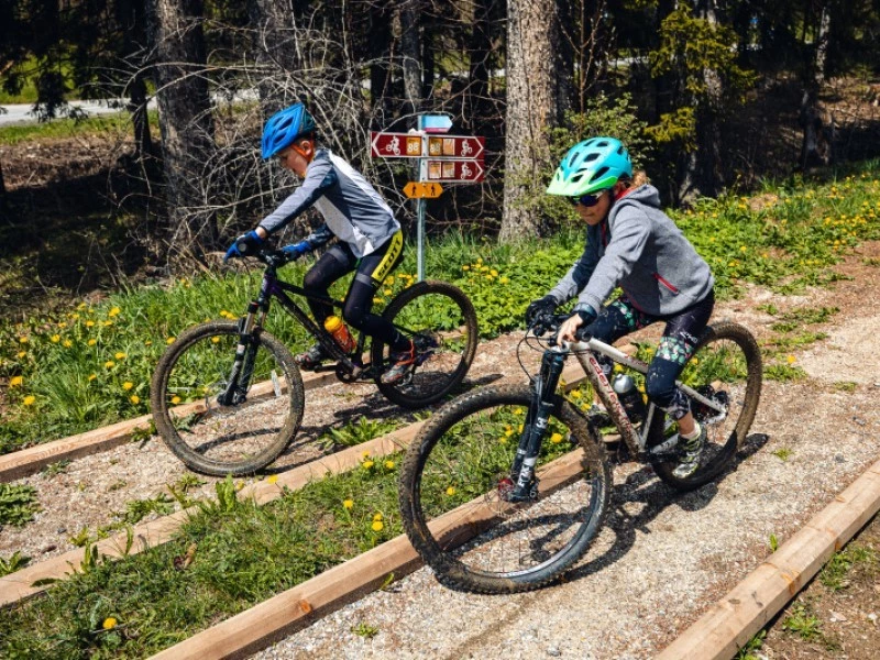 Family Forest Loop Slow