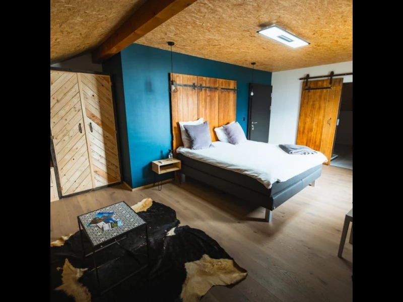 Chambre de luxe, Palladium