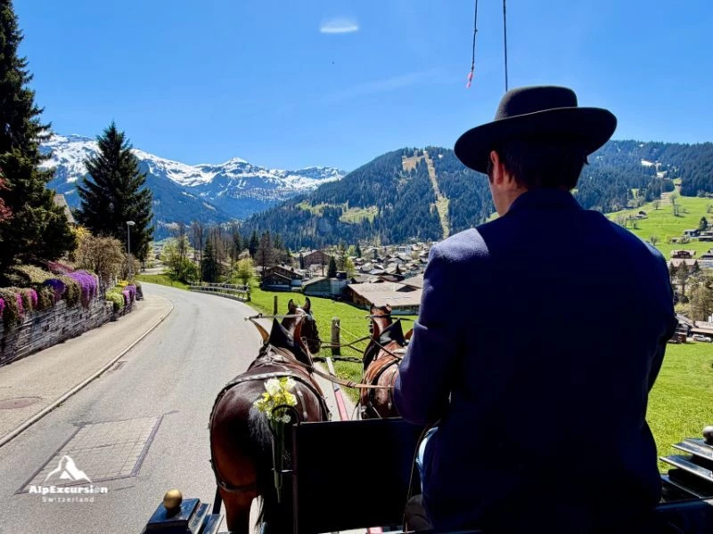 Private Excursions