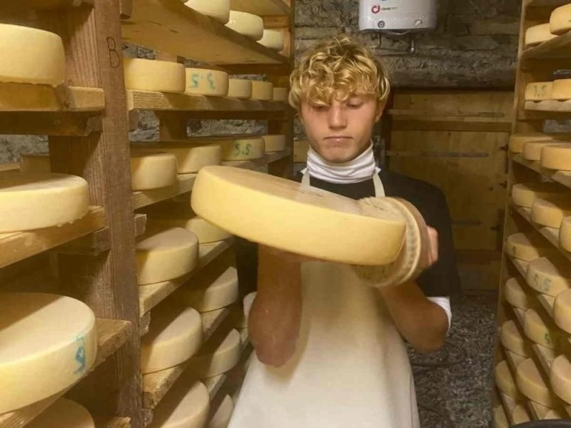D&eacute;gustation Fromages
