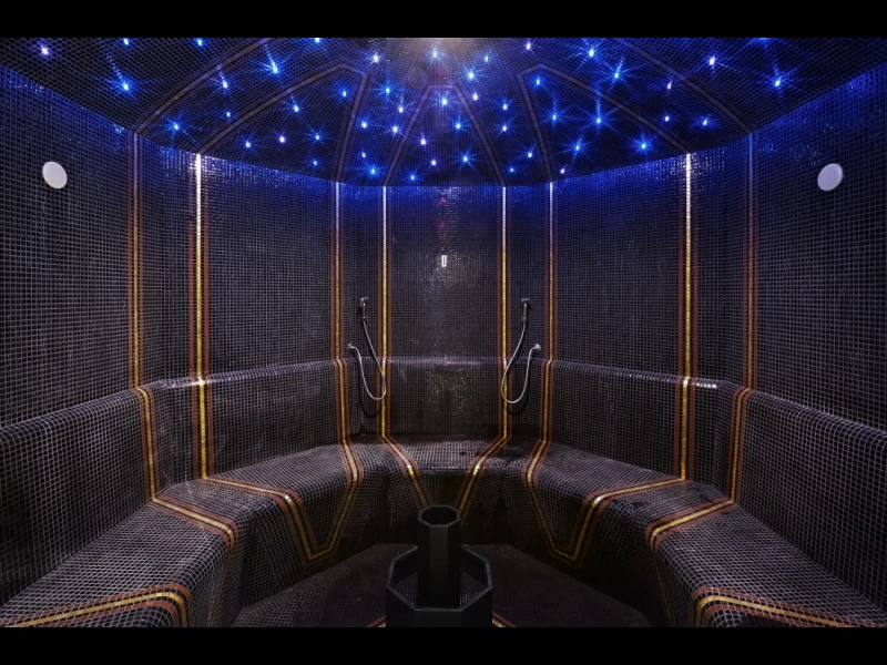 VIP Treatment Suite