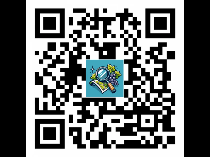 QR code jeu interactif