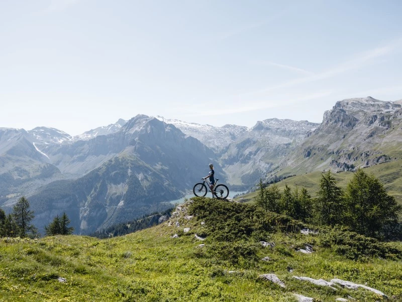 2023_JolandaNeff_0319_PatGuller-800x600