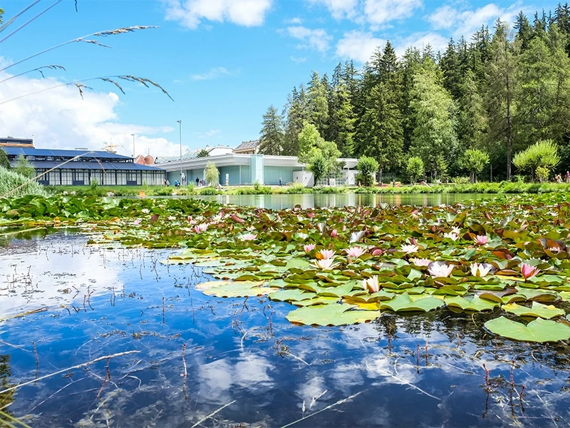 Etang d'Ycoor