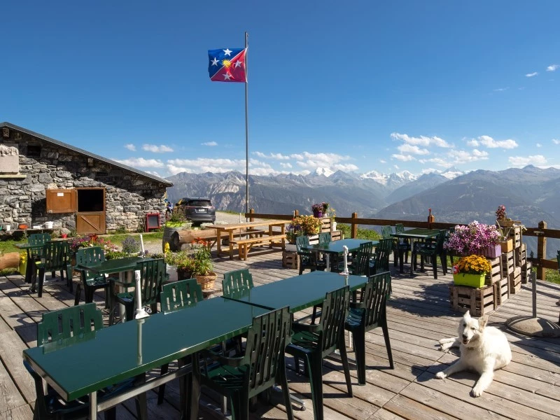 Buvette de P&eacute;pinet