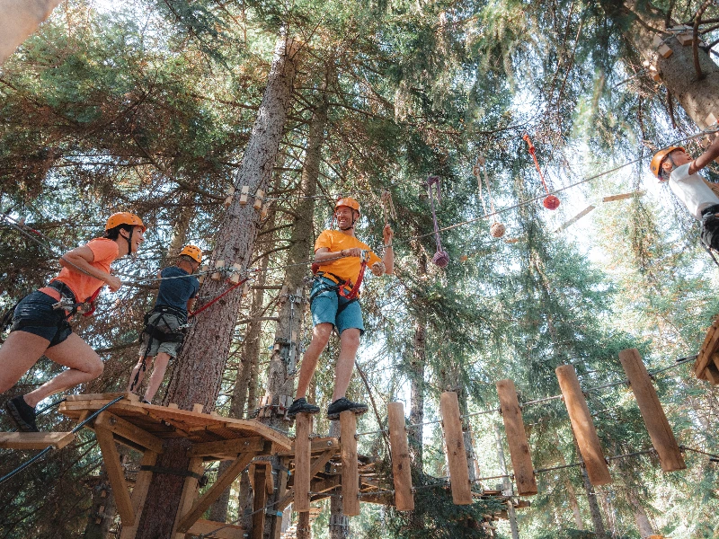 Fun Forest accrobranche