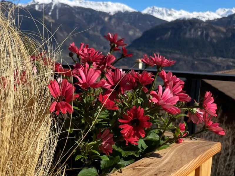 B&B la Forge de Diogne