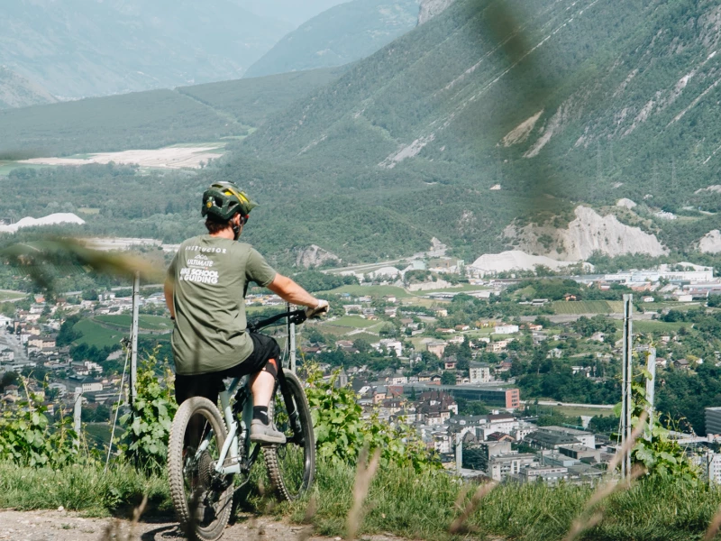 Ultimate Bike School & Summer Activites