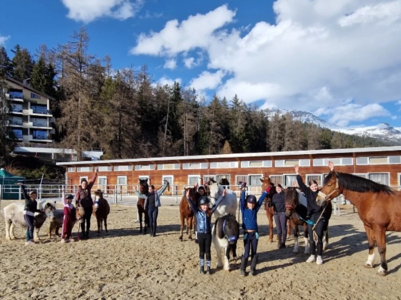 Camps d �quitation