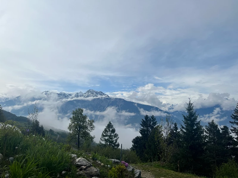 Buvette le Petit Paradis de Cordona