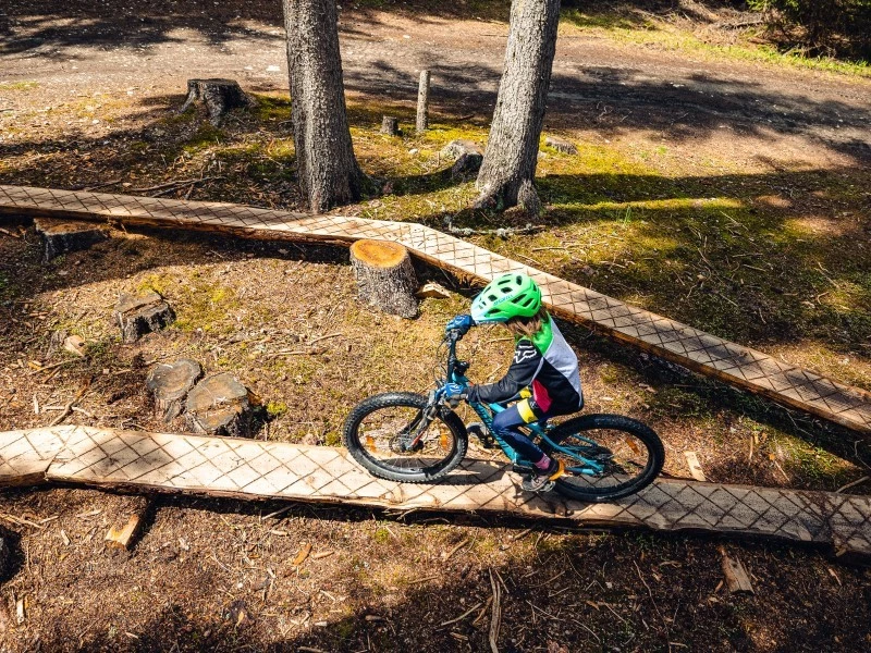 Family Forest Loop Northshore